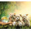 Steiff 023002 Animals Tomorrow Max Teddy Bear, Beige, 23 cm 5