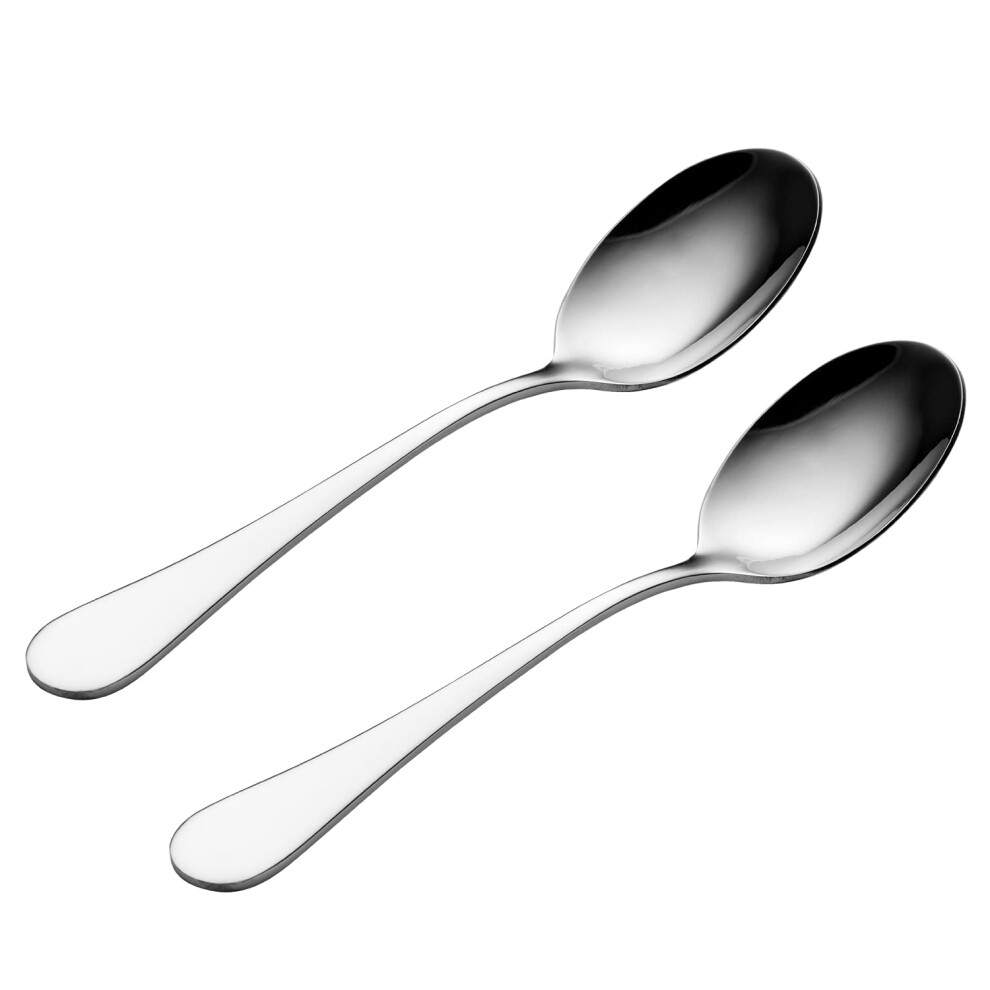Select 2 Piece 18/0 Stainless Steel Serving Spoons with Elegant Mirror Polished Table Spoons Gift Box