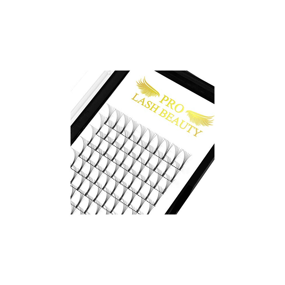 Pro Lashbeauty Pre Made Fan Eyelash Extensions 6D-D-0.10-11 Long Stem Pre Fanned Russian Volume Lashes 0.07 0.10 Premade Fans Eyelash Extension C D Curl Lash