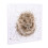 Wrendale Wrendale Designs - 'Awakening' Small Canvas 1
