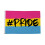 Hashtag Pride Pansexual Flag 5 x 3 FT - 100% Polyester With Eyelets 1
