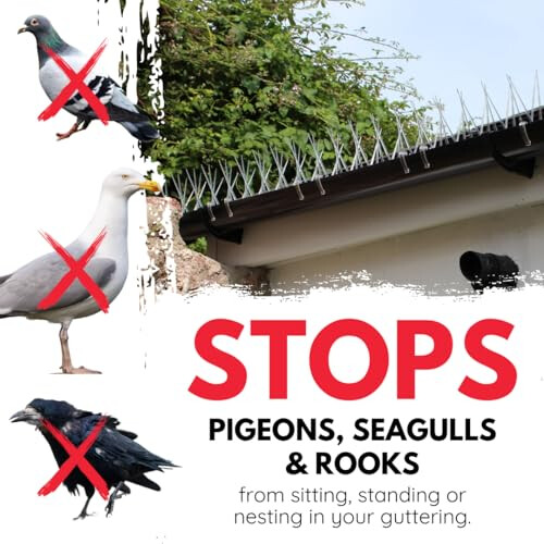 | Gutter Spikes Pack for Seagulls & Pigeons | Install Guide | 3 Metre 2