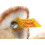 Steiff 99342 Mizzy cat, Ginger, Blond, 25 cm - Plush Soft Toy 3