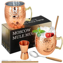 Moscow Mule Copper Mugs- Set of 2 Stainless Steel Mugs 18 Oz Food Safe Hammered Mugs Perfect for Cocktail Water Glass Cold Drink (1)