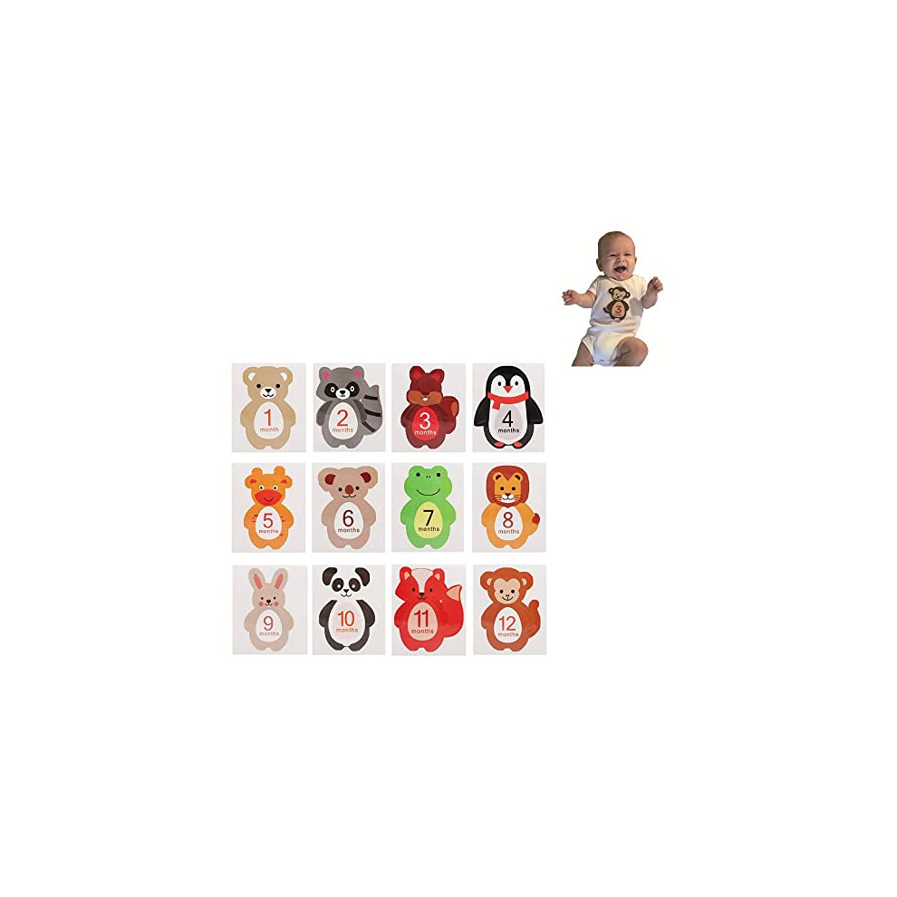 12Pcs Baby Monthly Sticker Cartoon Animal Shaped Milestone Memories Photo Props For 1-12 Month Newborn Boys Girls Hztyyier