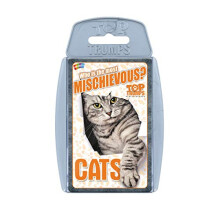 Cats Card Game