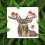 Bothy Threads Cross Stitch Kit - Festive Friends 2