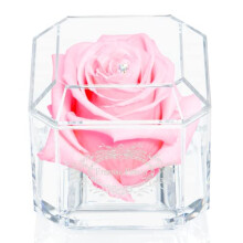 A 100% Real Rose That Lasts Years - Eternal Petals, Handmade in UK – White Gold Solo with A Multicolor Swarovski Crystal (Pink)
