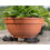 Planter Pot Feet, Resin, Bronze, One Size 3