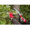 Felco 604 24cm Folding Saw 5