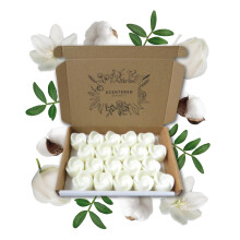 Baby Powder Wax Melts| Strong Scented| 20 Pack| Luxury Gift Set Wax Melts| Over 96 Hrs Burn Time Per Box| Pet Friendly| Eco Friendly| Hand Poured in