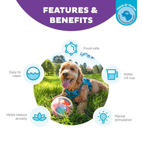 Nina Ottosson Dog Rumble Puzzle Org 1