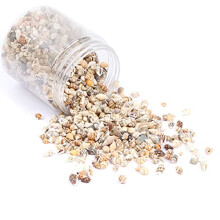 DIY Non-Porous Shell Small Conch Lemon Yellow 1500Pcs, Tiny Sea Shells Mixed Ocean Beach Spiral Seashells Craft Charms for Home Decorations, Candle