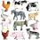 Set Of 12 Jumbo Farm Animals- 1