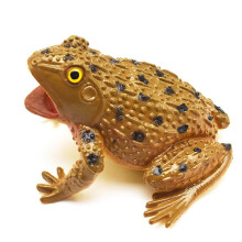 Fake Toad Toad Prop Frog Playing In Water Squeezing To Call Animal Toys