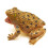 Fake Toad Toad Prop Frog Playing In Water Squeezing To Call Animal Toys 1