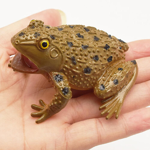 Fake Toad Toad Prop Frog Playing In Water Squeezing To Call Animal Toys 1