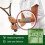Lotus Leaf Clear Patch Plaster 1 pack/8 patches 6