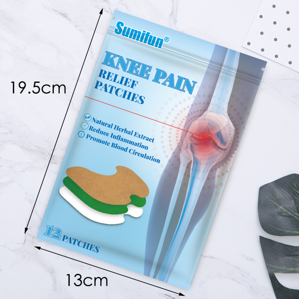 Flemye (K09301) Wormwood Knee Patch Joint Care
