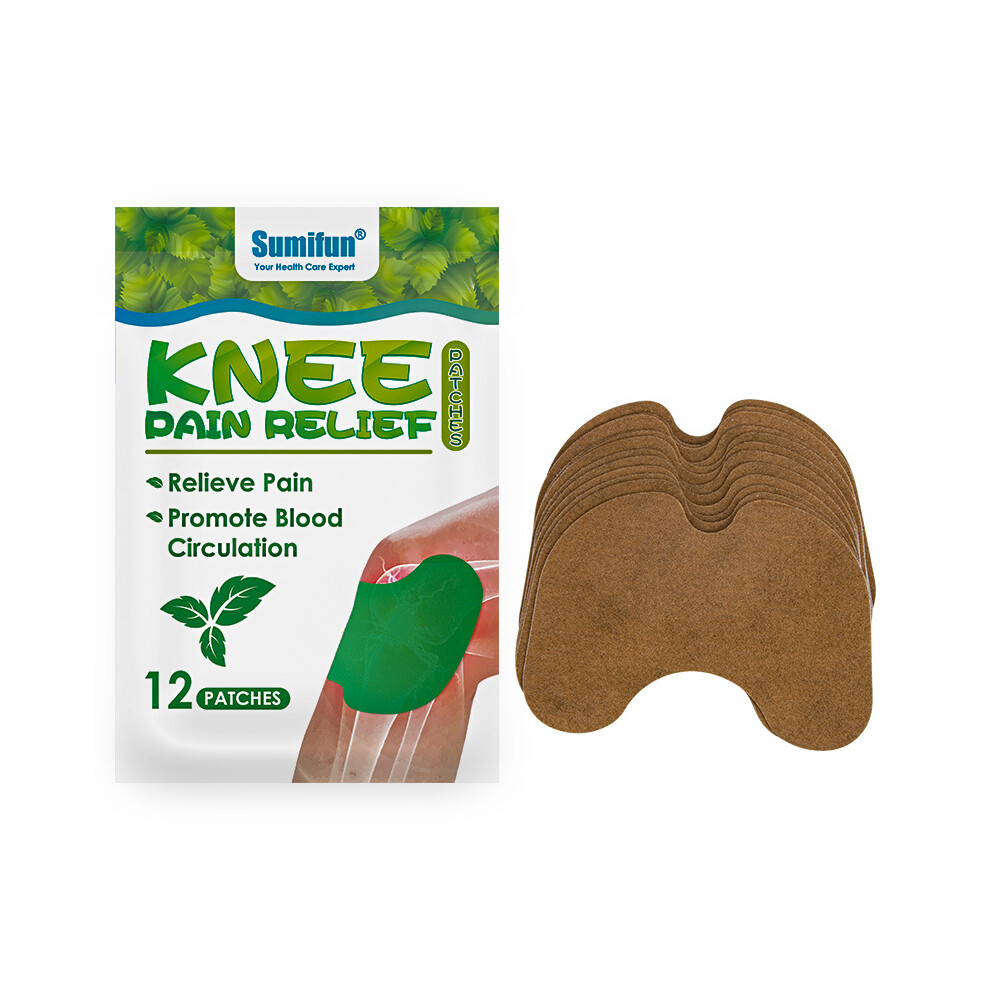 Flemye (K09001) Wormwood Knee Patch Joint Care