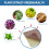 Smoking Control Patch Boxed Plaster 6
