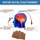 Smoking Control Patch Boxed Plaster 5