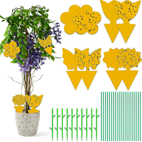 40 Pcs Sticky Trap,fruit Fly And Gnat Trap Yellow Sticky Bug Traps
