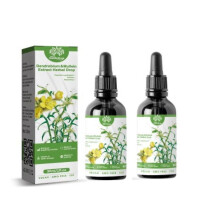 2 Pcs Herbal Lung Health Essence Dendrobium Mullein Extract Powerful Lung Cleanse 30ml