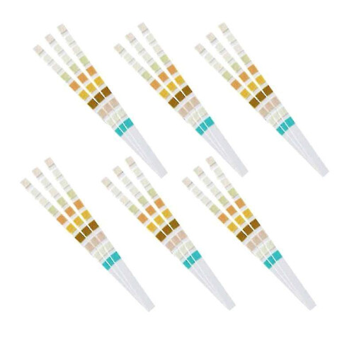 100 Strips Urine Test Strip 10 Parameters 1