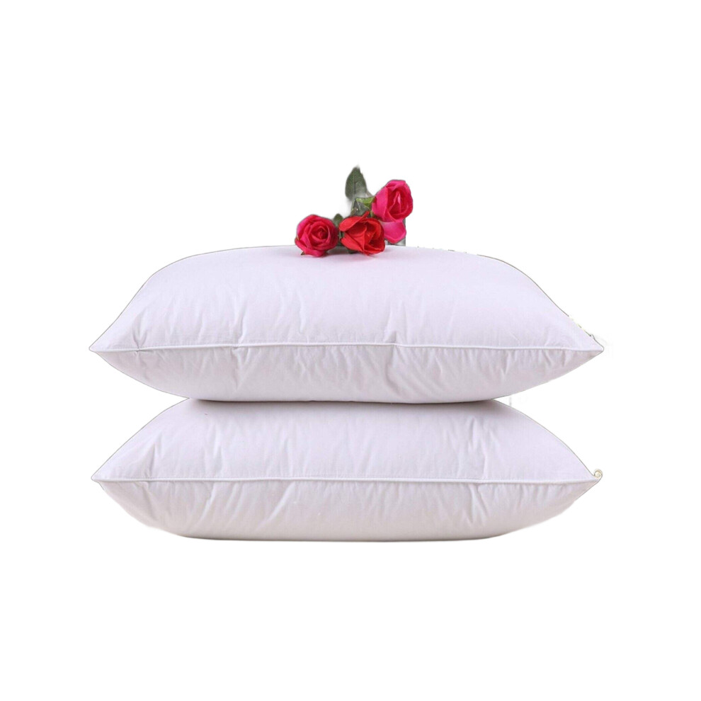 (Bounce Back Pillows (50 x 75 cm)) Luxury Filled Pillow Pack of 2 Bounce Back Pillow
