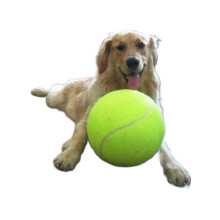 24cm Giant Tennis Ball Pet Dog Chews Play Toy Fun Outdoor Beach Sport