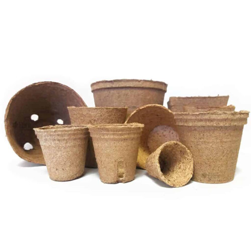 (200) Jiffy Coir Organic Biodegradable Plant / Flower Pots 6x6cm