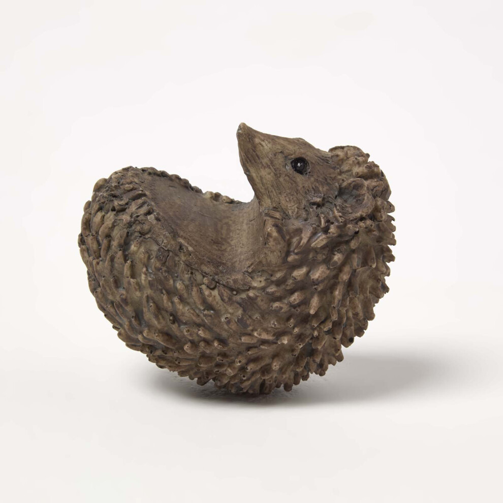 HOMESCAPES Hedgehog Pot Hangers - Pot Decoration