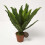 Homescapes HOMESCAPES Hedgehog Pot Hangers - Pot Decoration 6