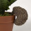 Homescapes HOMESCAPES Hedgehog Pot Hangers - Pot Decoration 2