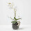 Homescapes HOMESCAPES Rabbit Pot Hangers - Pot Decoration 6