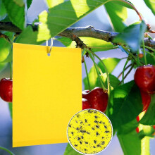 2023 - 100 Pieces Yellow Double Sided Fly Trap, Double Sided Yellow Traps For Flying Insects - Greenhouse