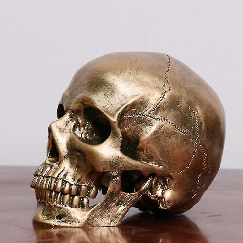 Human Bronze Resin Skull Model Medical Halloween Realistic 1:1 Statue Decor