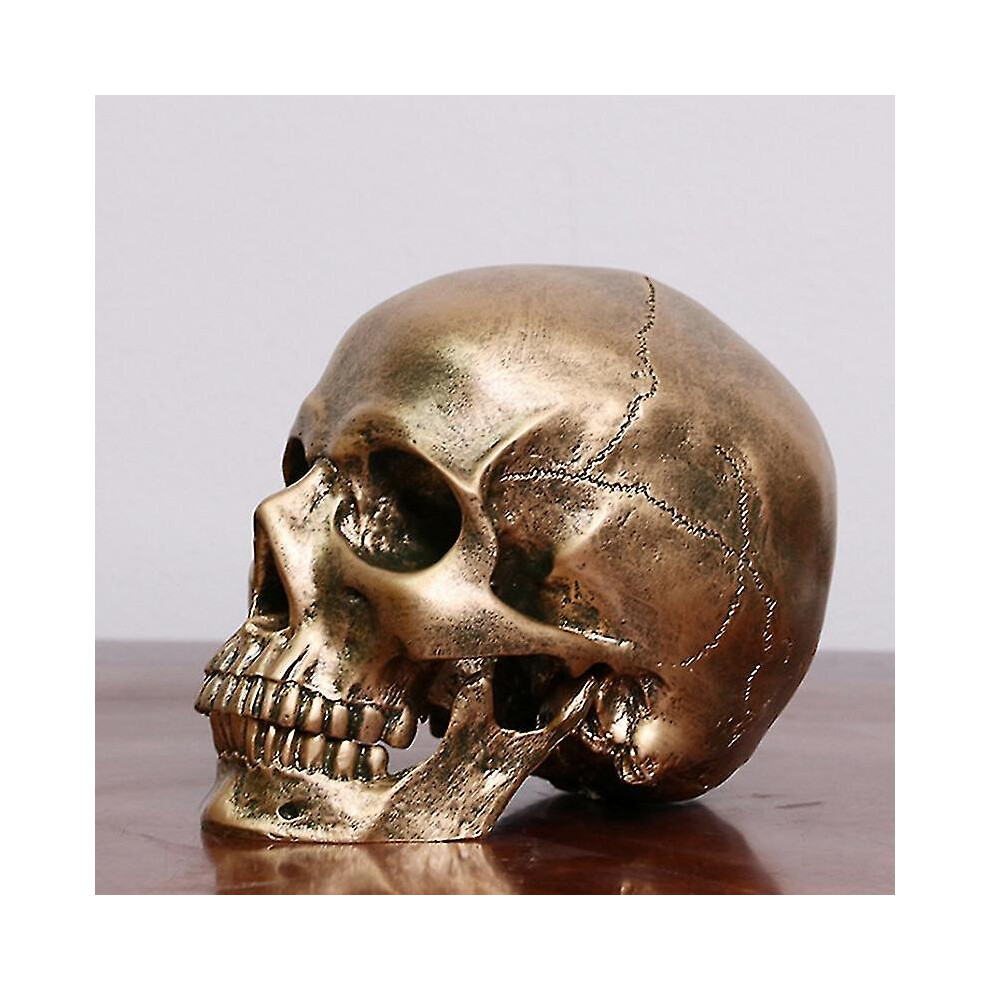 Human Resin Skull Model Medical Halloween Realistic 1:1 Statue Decor Bronze