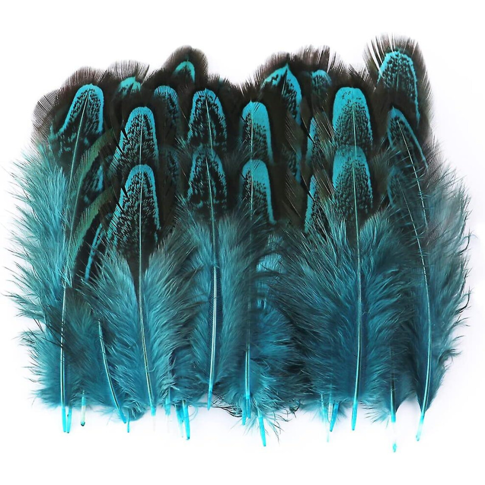 200 Pcs 2-3 Inch Peacock Blue Pheasant Feathers Bulk Various Colors Natural Feather Crafts Clothing Hat Sewing Decorating