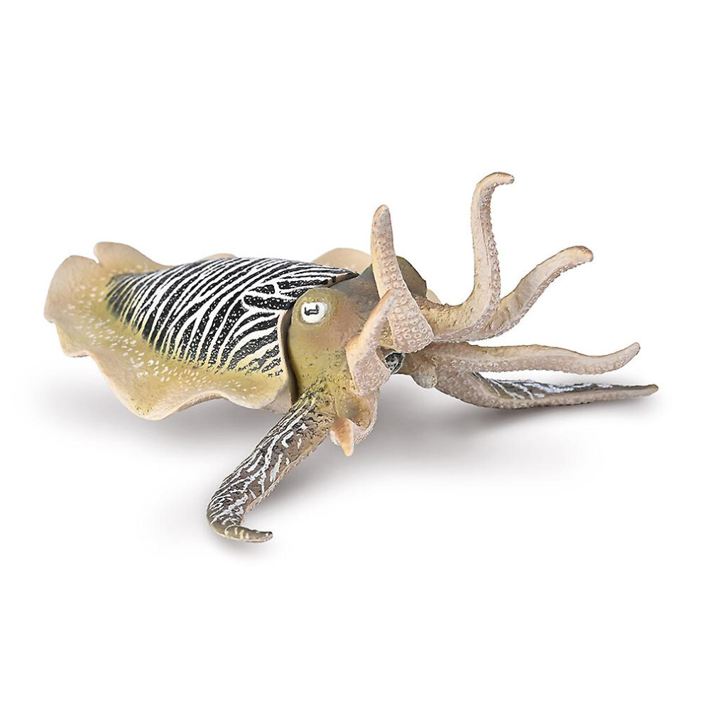 CollectA Common Cuttlefish, Realistic Hand Painted Sea Life Creature