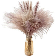 Pampas Grass 60 Cm Natural Dried Flower Decorative Dried Flowers Artificia Dried Pampas Grass Decor For Home Arrangements Bouquet Diy Flower Arrangeme