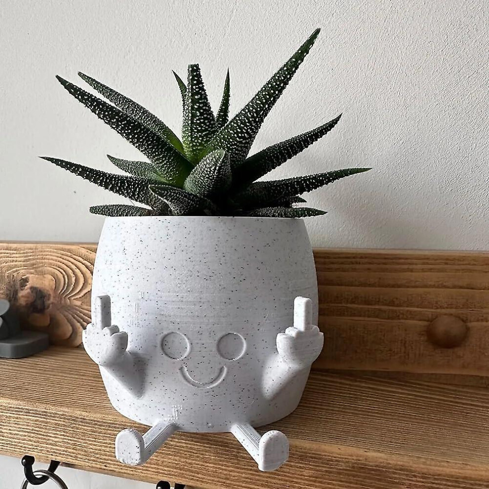 Smiling Plant Pot With Middle Fingers Up, Unique Cute Flower Pots For Succulents Middle Finger, Novelty Planter Holds Small Plants, Funny Expression I