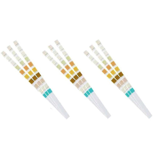 100 Strips Urine Test Strip 10 Parameters 1