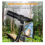 Chronus Digital Night Vision Monocular, High Definition(Black) 3