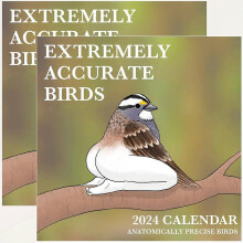 2024 Calendar Of Extremely Accurate Birds 2024 Bird Calendar Wall Calendar
