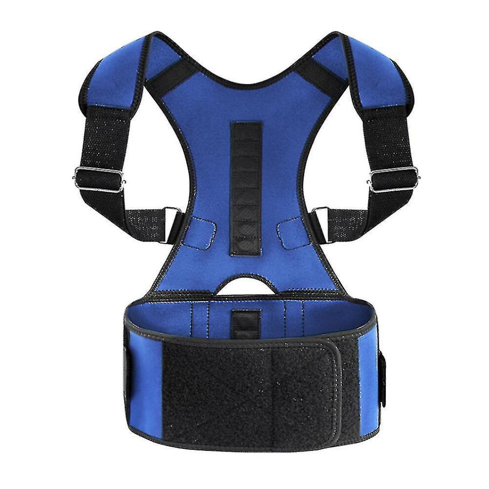 Blue (, Xxl) Back Support Brace Posture Corrector Strap Waist Spine Brace Posture Orthopedic Belt