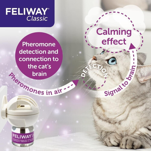 Feliway FELIWAY Classic 30 day Refill comforts cats, helps solve behavioural 2