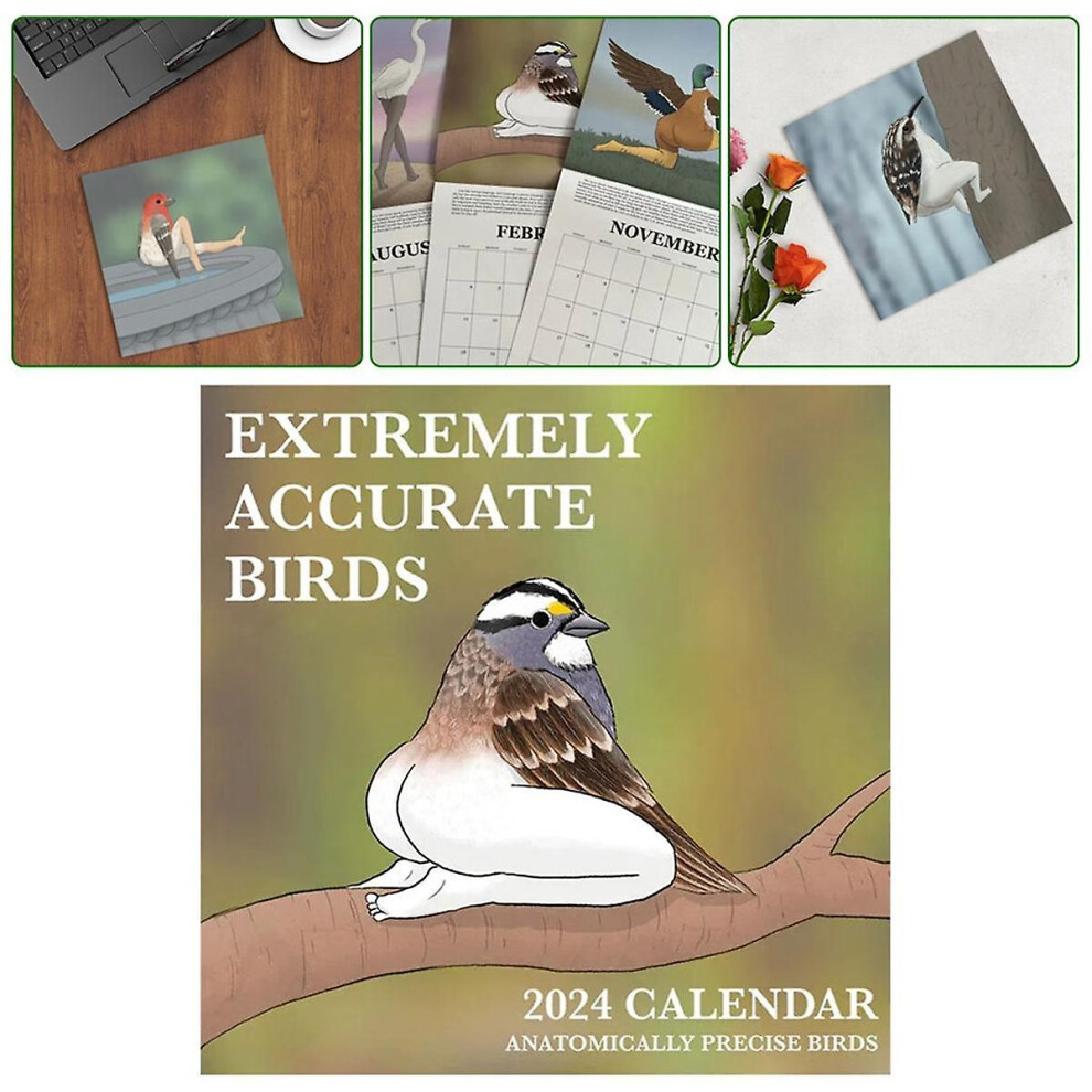 2024 Calendar Of Extremely Accurate Birds 2024 Bird Calendar Wall Calendar Decoration Poster-29x29cm