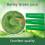 Naveta Barley Grass Powder 100%-pure 1